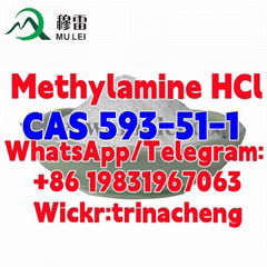             HCl CAS 593-51-1 China Supplier             hydrochloride